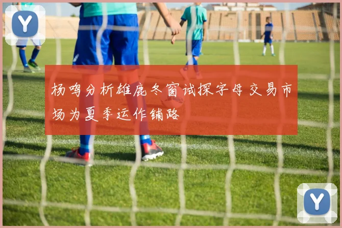 杨鸣分析雄鹿冬窗试探字母交易市场为夏季运作铺路